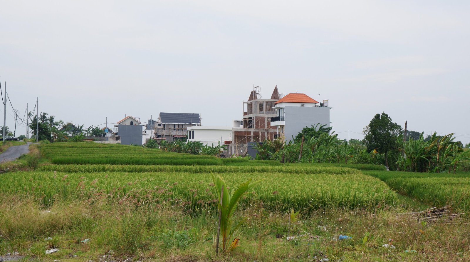 Senin--Foto Kiya