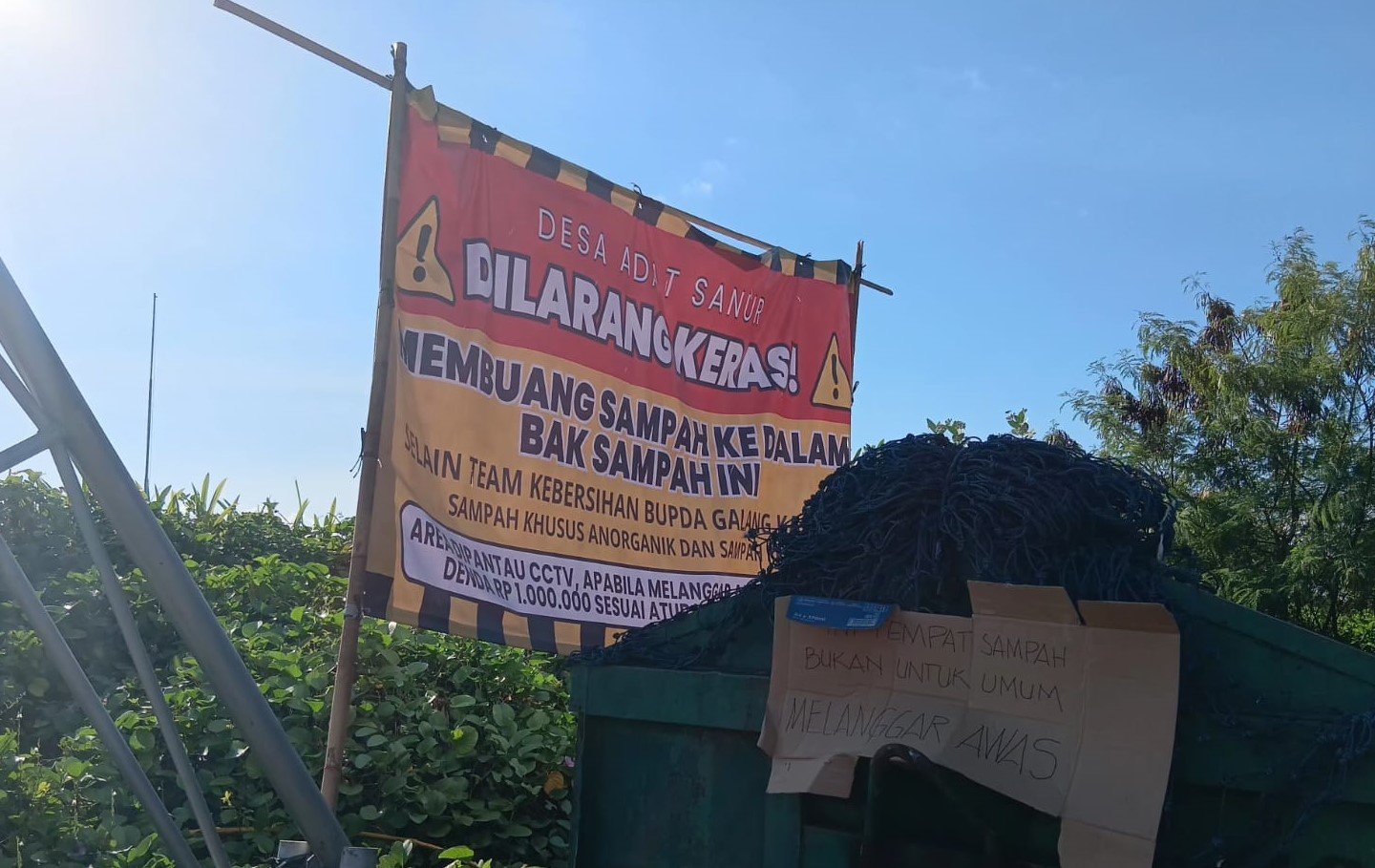 SElasa--foto1