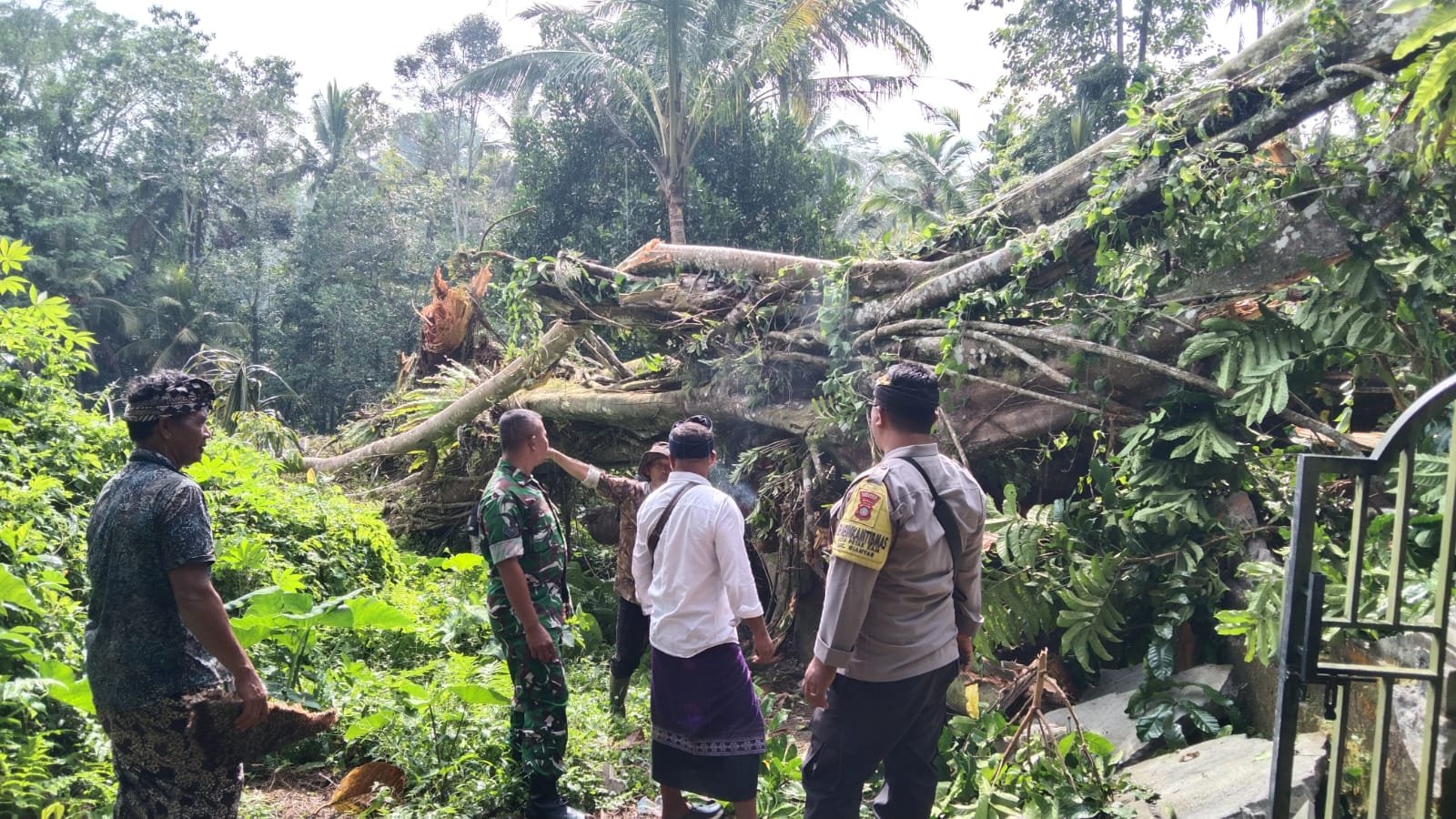 Sabtu tumbang