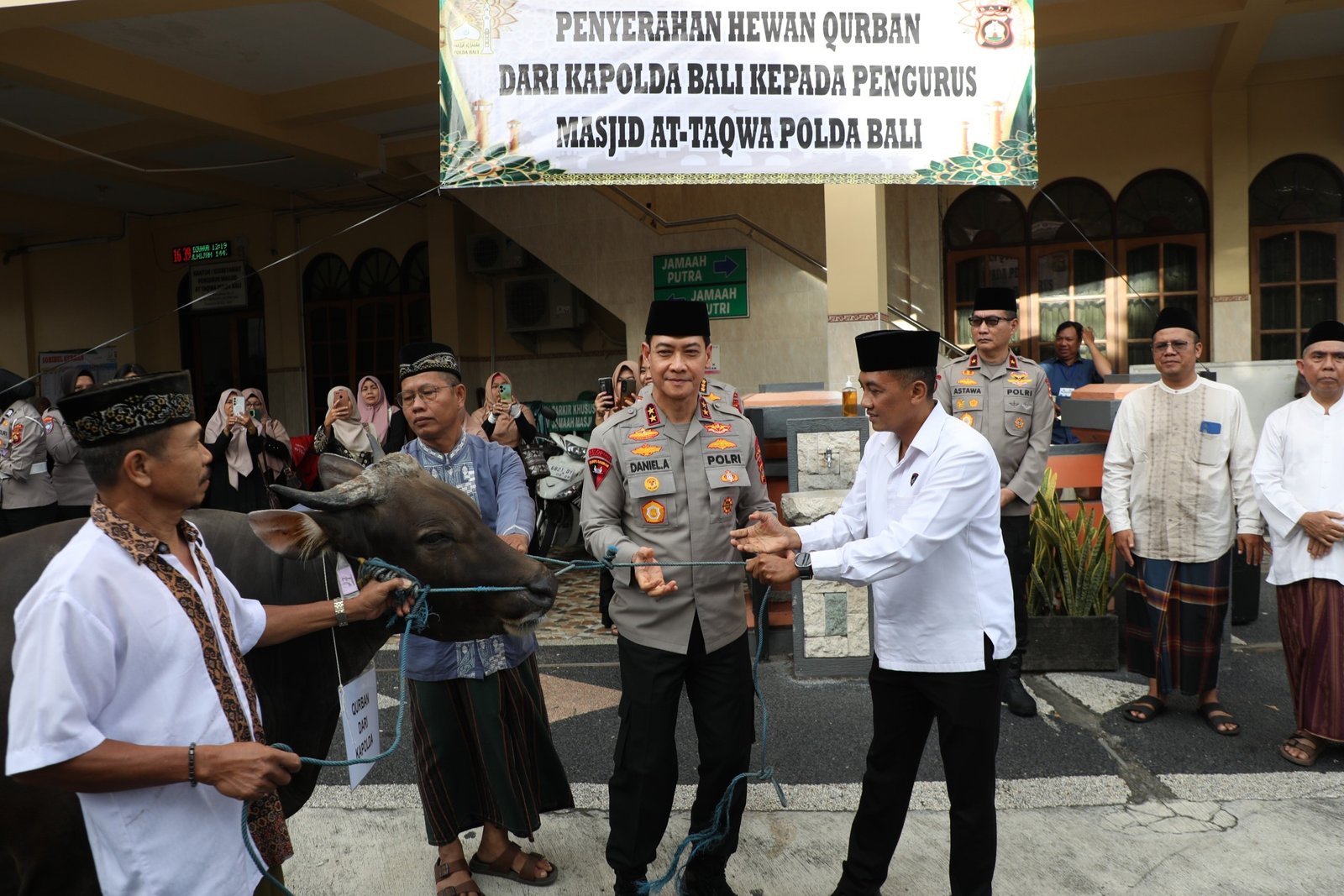 Selasa--sapi