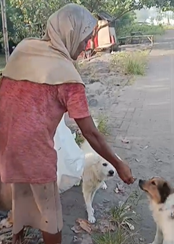 Senin--Ibu4