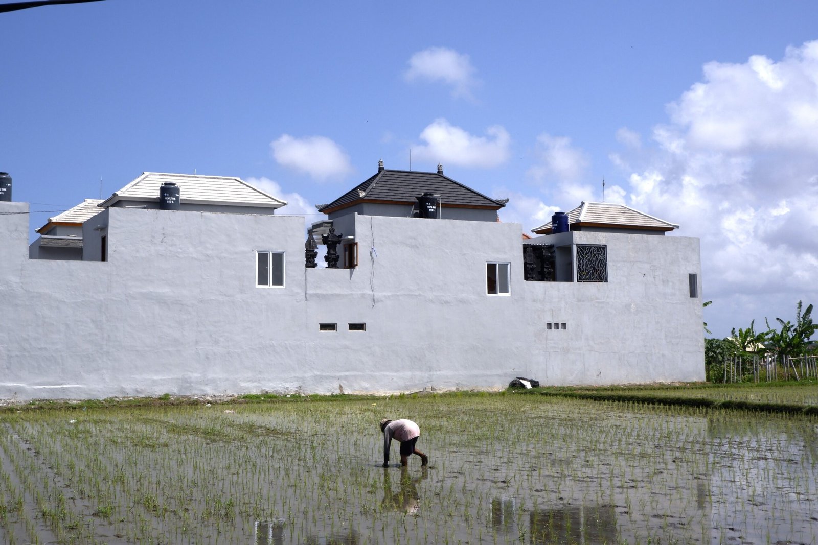 Minggu--Lahan