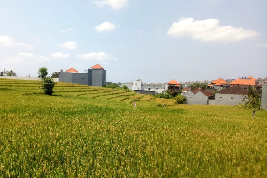 Minggu-lahan