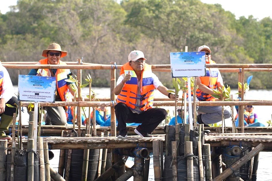 Minggu--Mangrove2