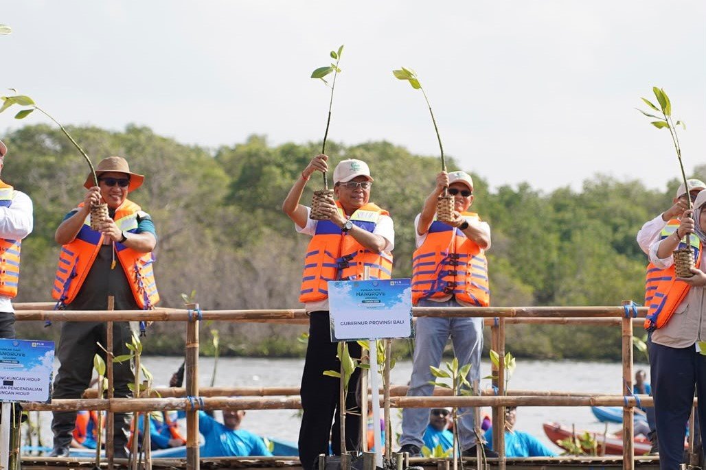 Minggu--Mangrove3