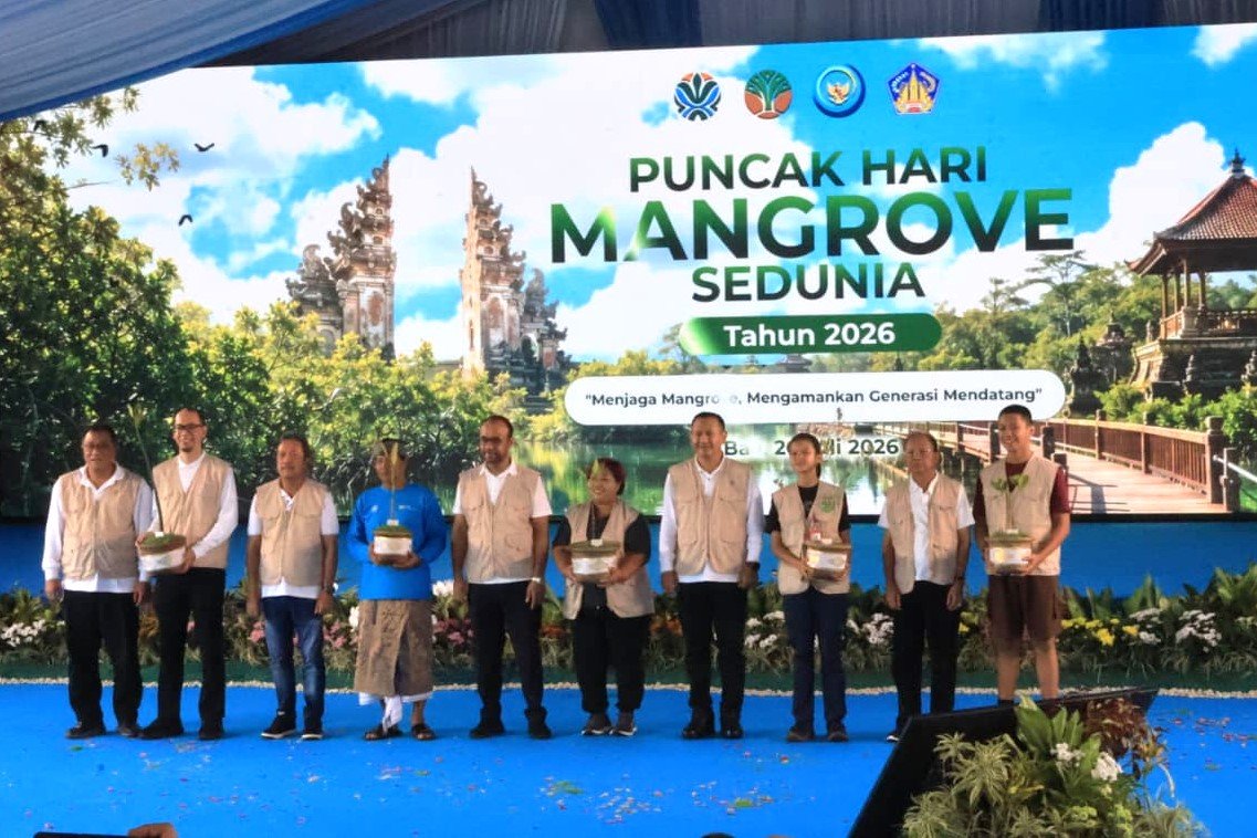 Minggu--mangrove