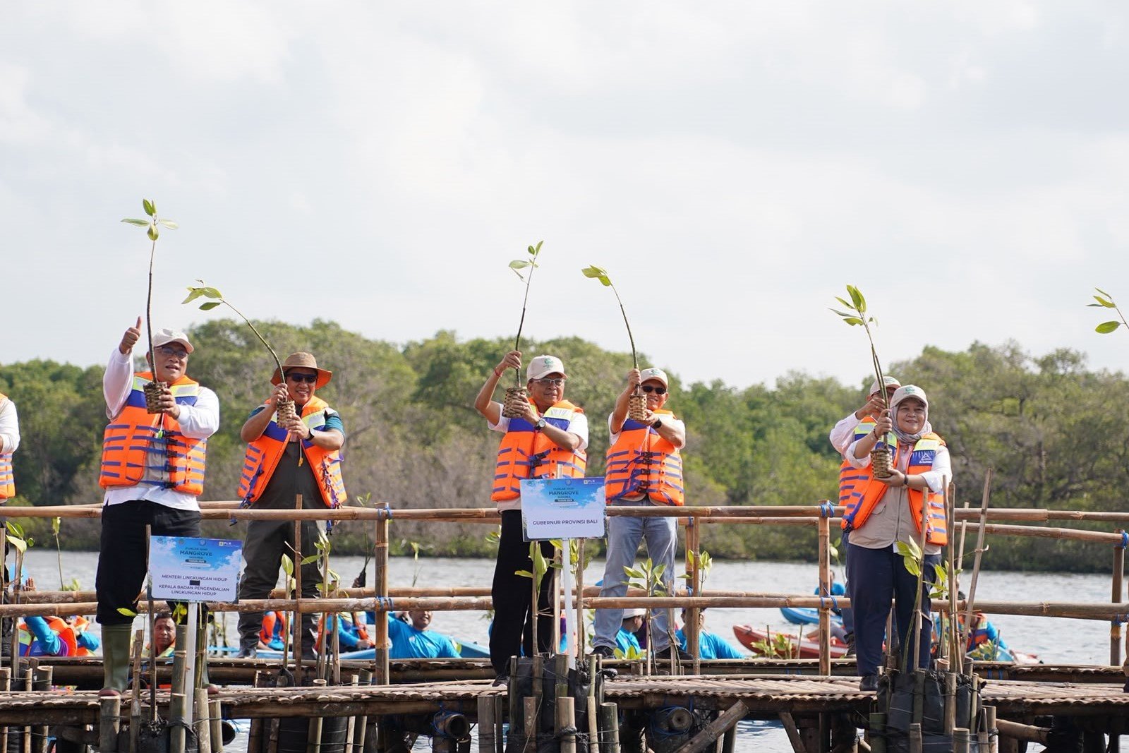 Minggu--mangrove4