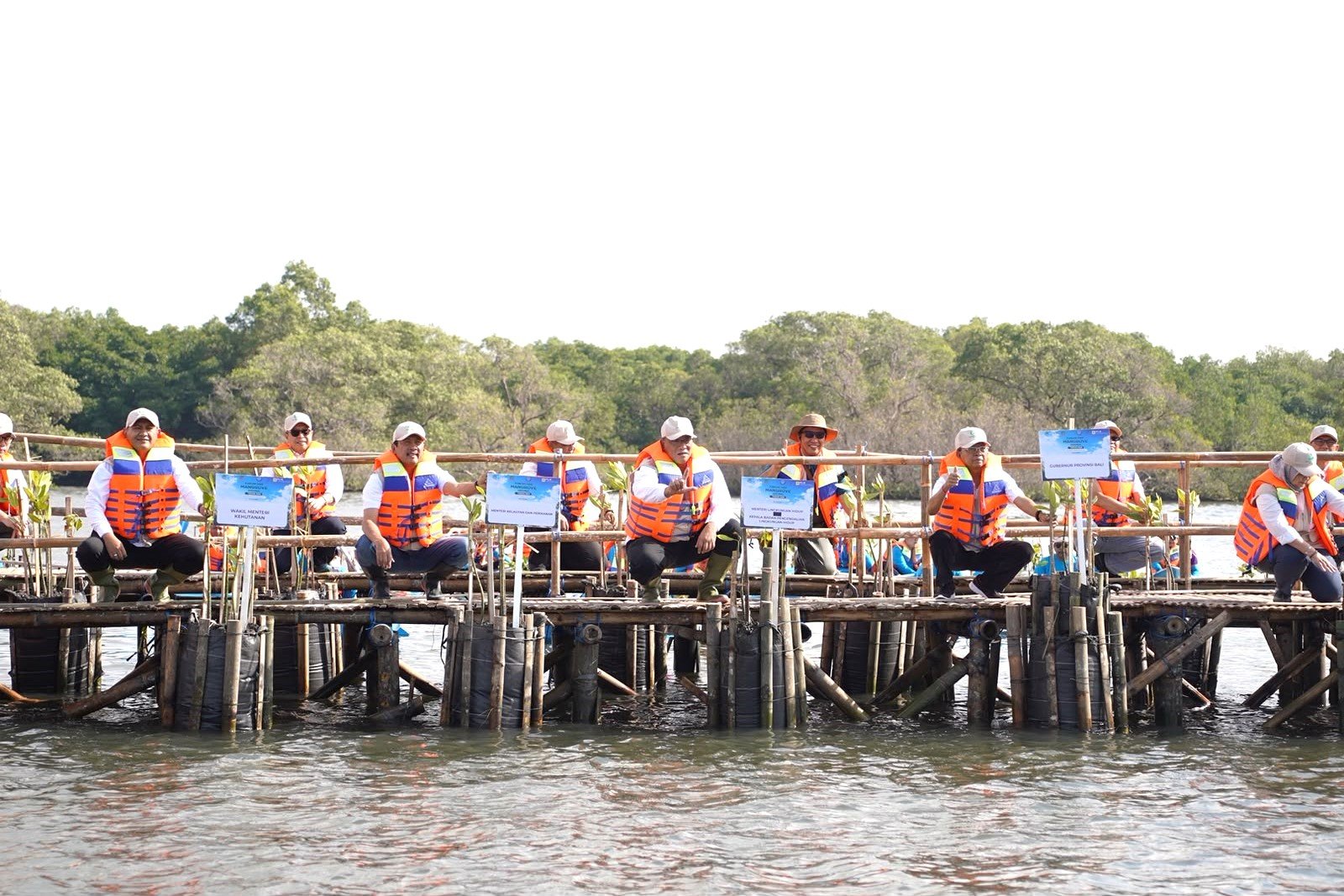 Minggu--mangrove5