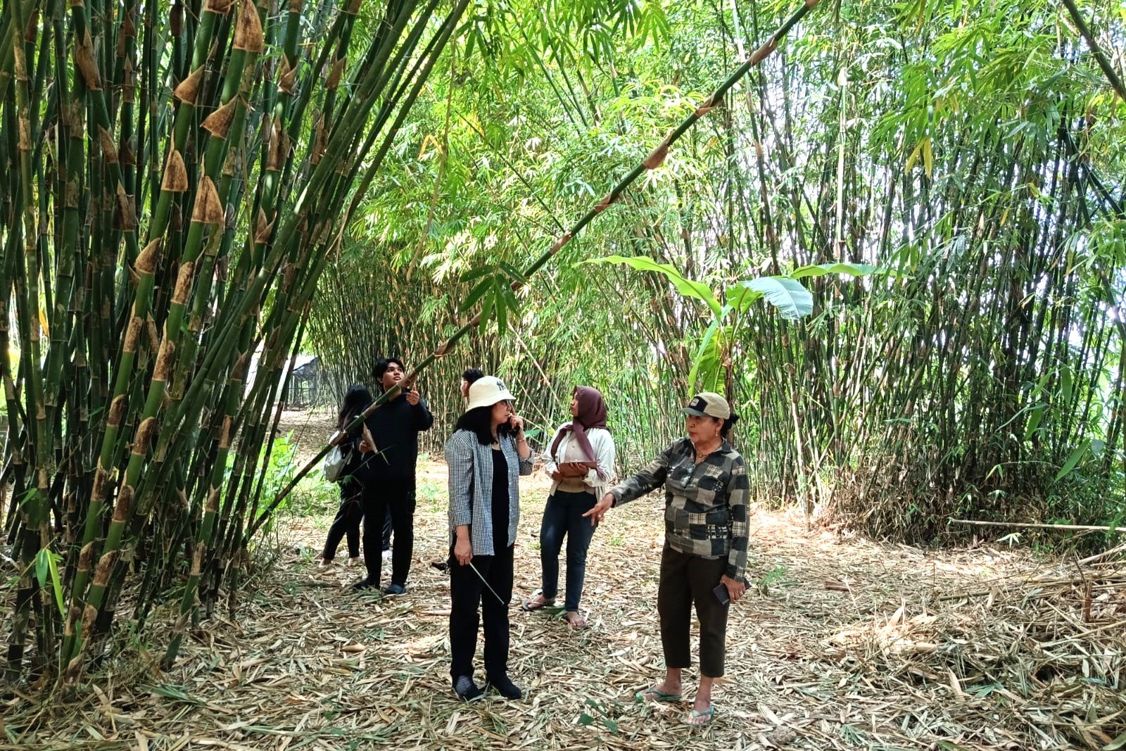 Minggu--bambu5