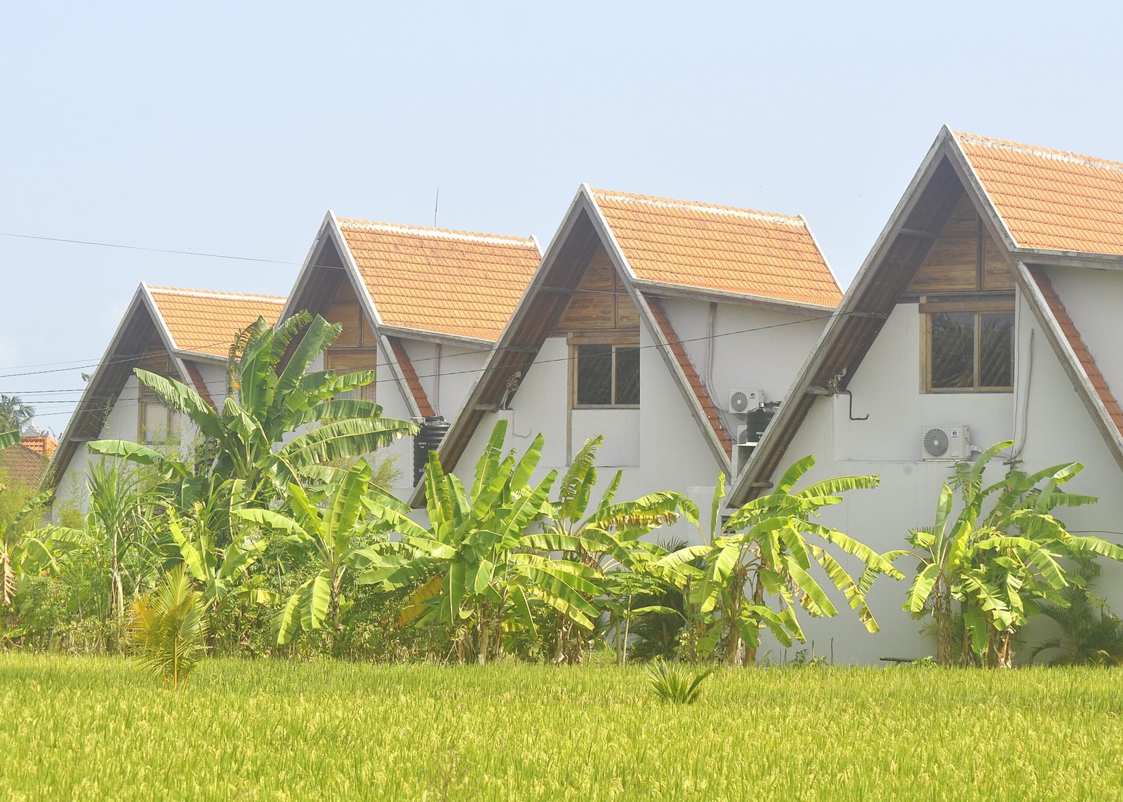 Minggu--foto3